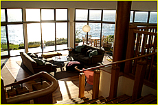 Cornwall Tourism Magazine - Doggy holidays in Cornwall - Polurrian Bay Hotel - Copyright - Ed Stone Web Design